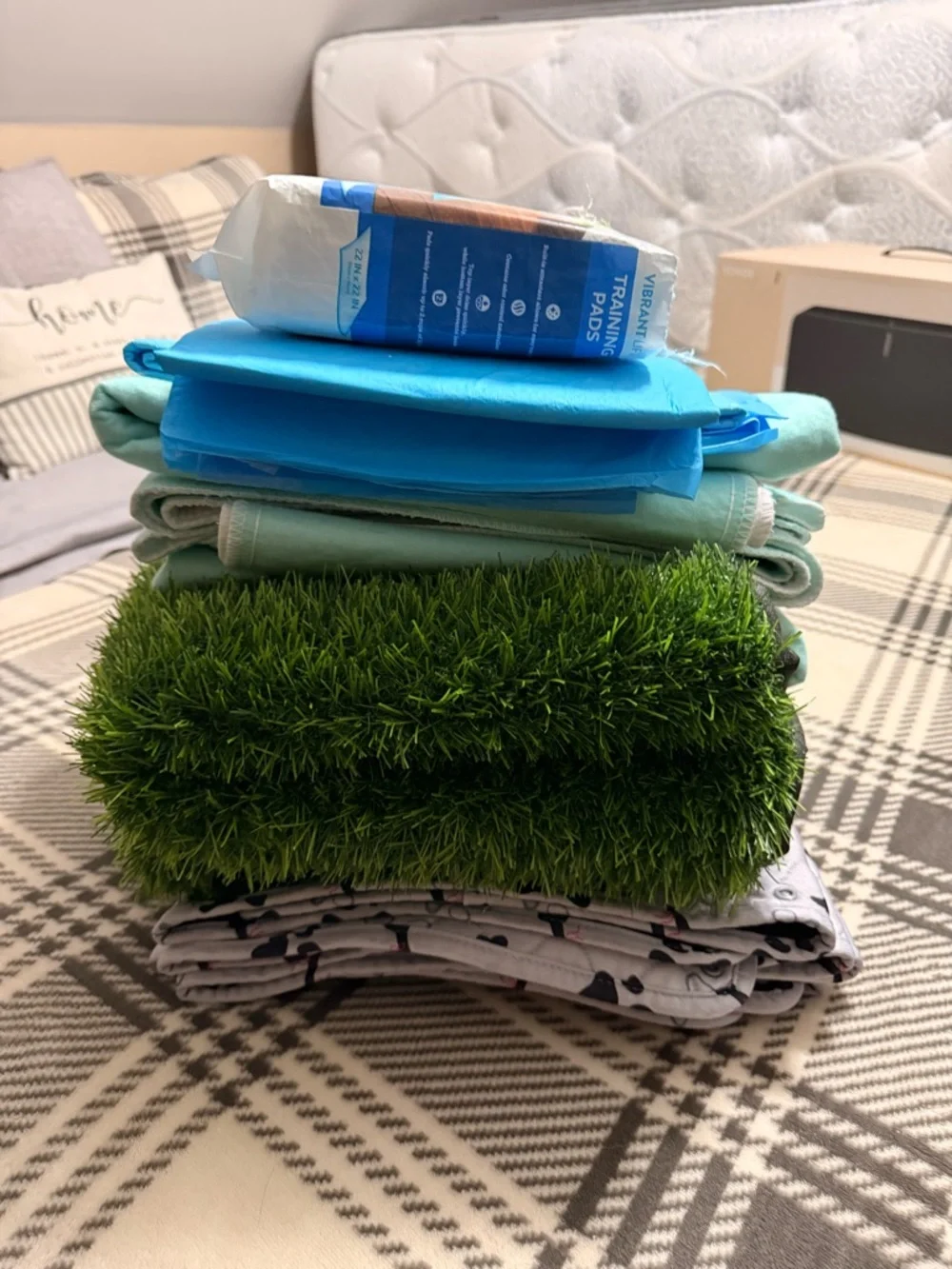 Puppy Training Set